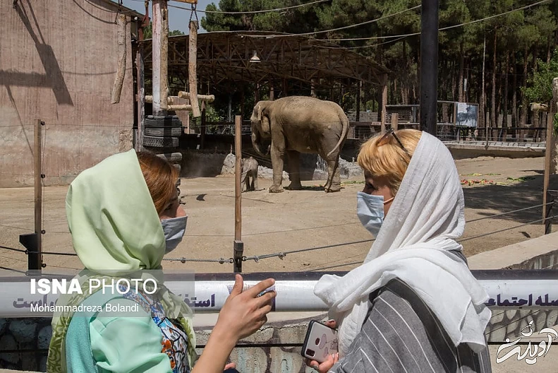 (تصاویر) رونمایی از «مایسا» در باغ وحش ارم